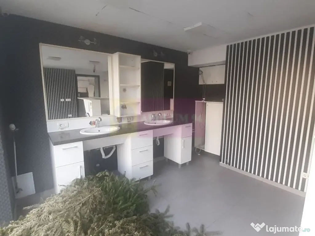 Spatiu Comercial Stradal Șoseaua Colentina zona Teiul Do... 