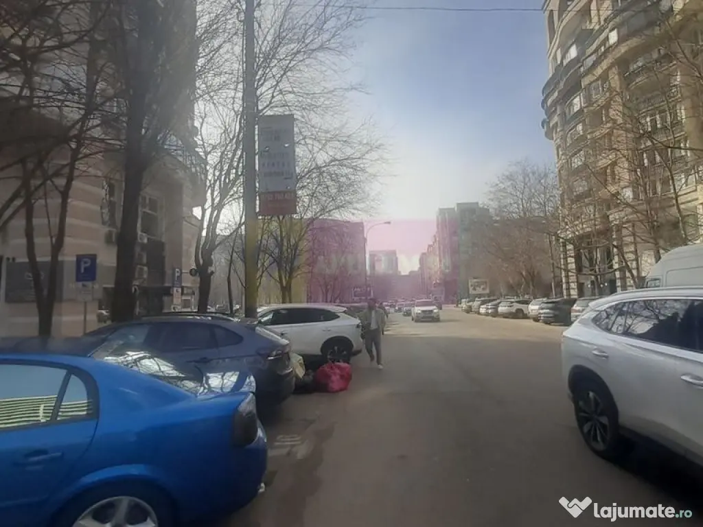 Spatiu Comercial Stradal Șoseaua Colentina zona Teiul Do... 