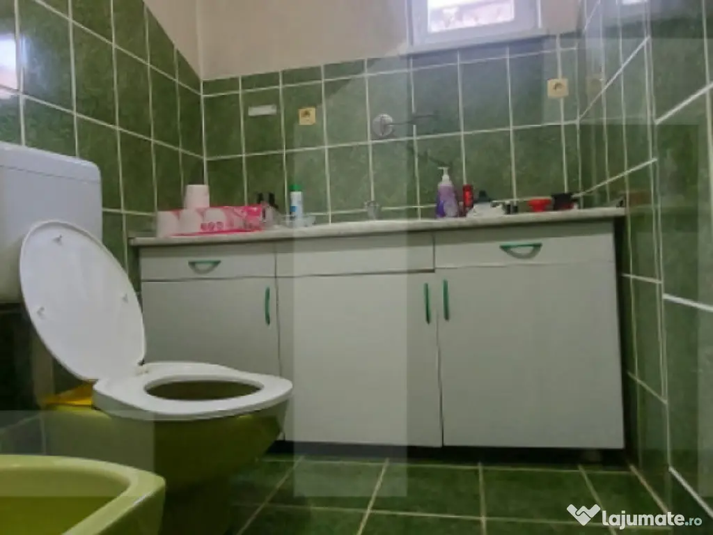 Casă cu Saună Finlandeză + Atelier Auto in Sfantu Gheorgh 