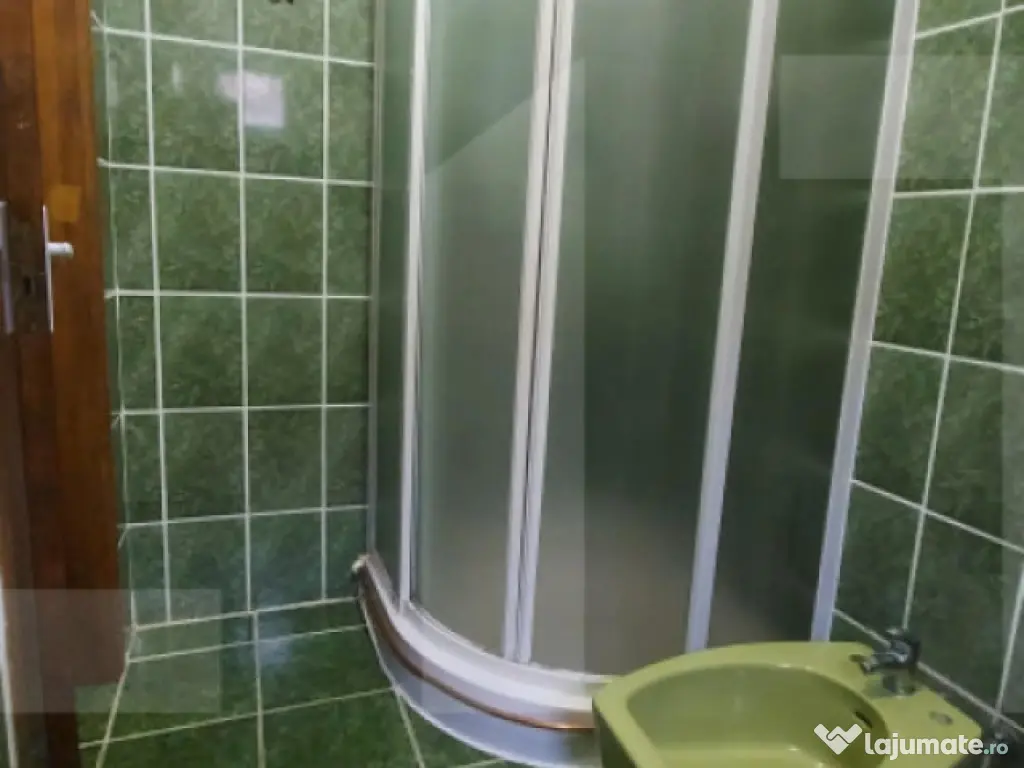 Casă cu Saună Finlandeză + Atelier Auto in Sfantu Gheorgh 