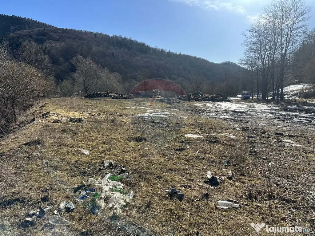 Teren 1,340mp Cuejdiu / Strada Cuejdiului 