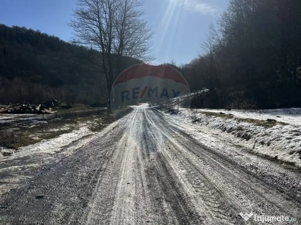 Teren 1,340mp Cuejdiu / Strada Cuejdiului 