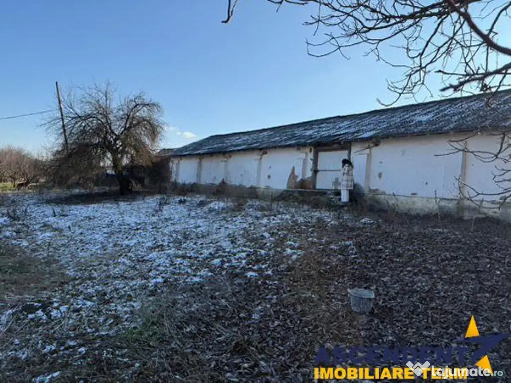 Spatiu comercial Industrial multifunctional: productie, depo 