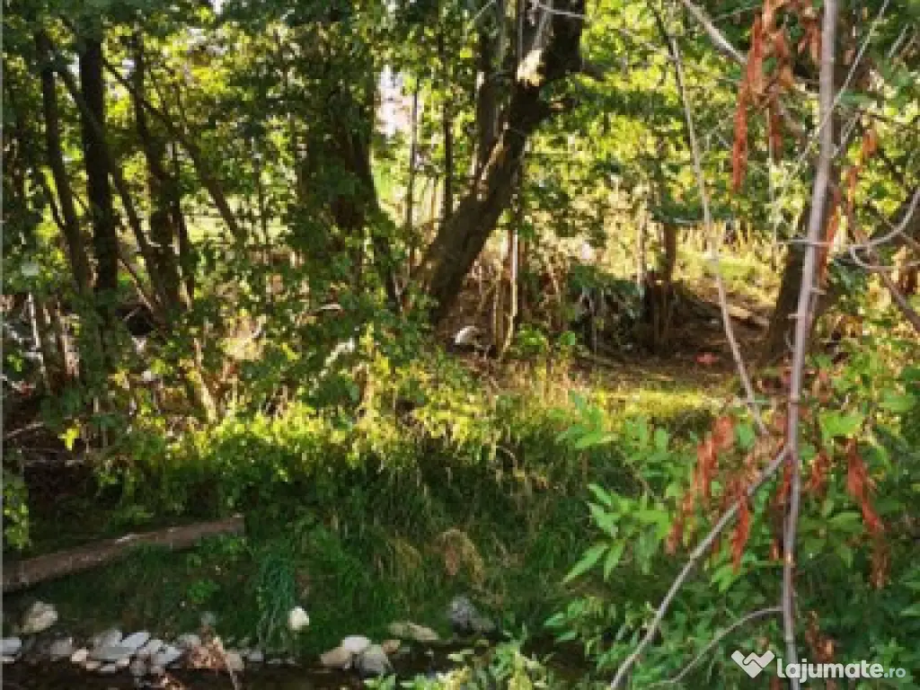 FILM! Constructie rustica tip Casa Verde, cu parau si panora 