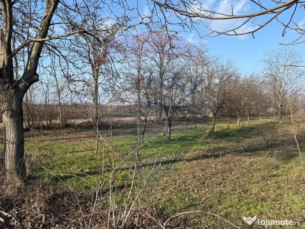 Teren 2,300mp Petresti / Strada Lacramioarei 