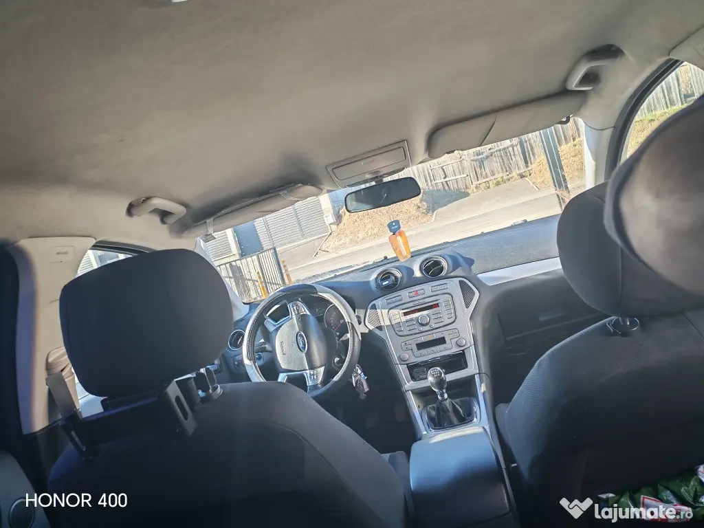 Norvegiană de pădure pui 