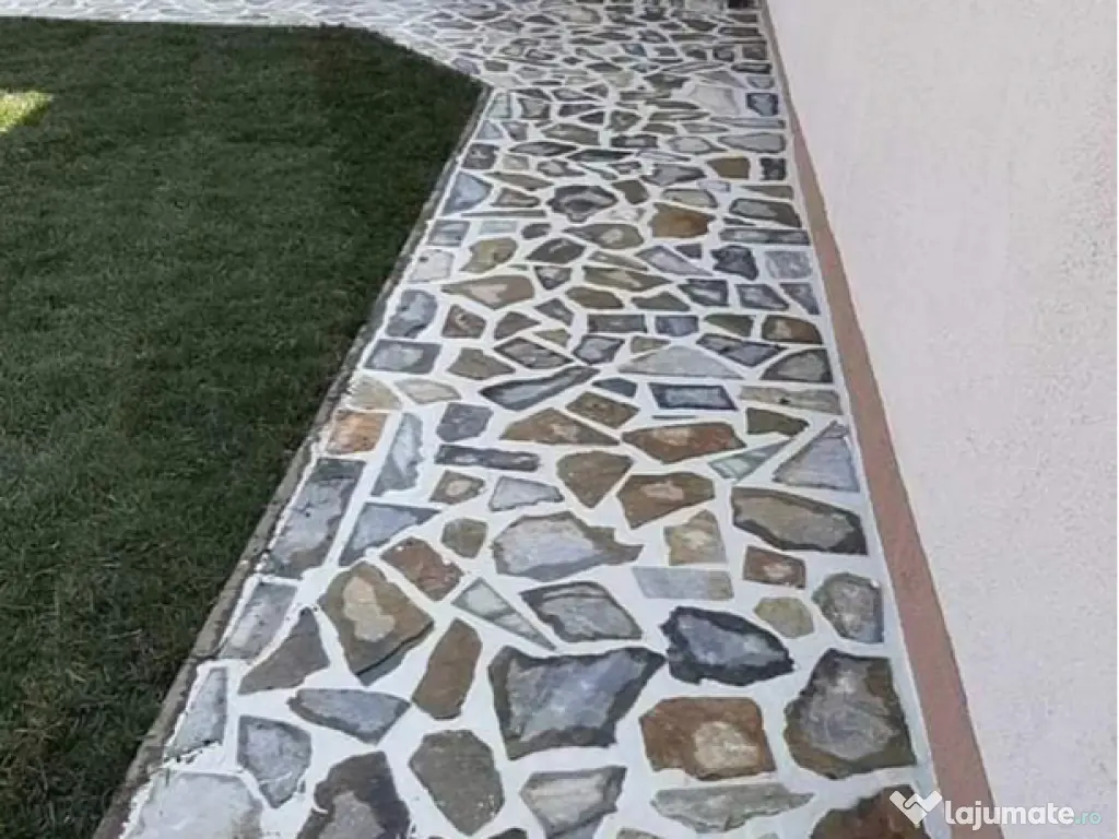 Plante ornamentale gazon rulou piatra 