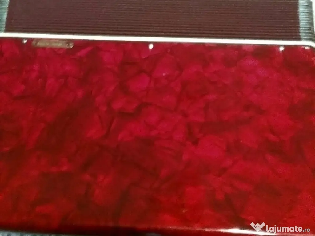 două acordeoane, .weltmaister și Parrot. 