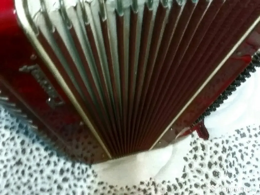 două acordeoane, .weltmaister și Parrot. 