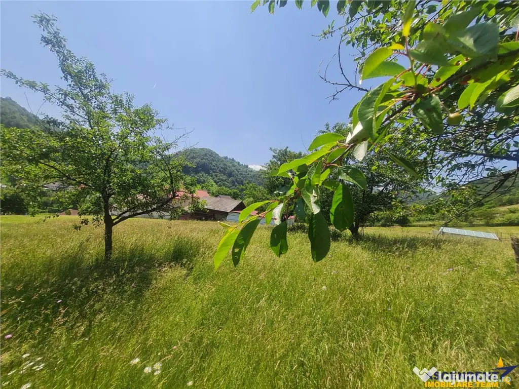 FILM! 1.450 mp intravilan, la DN, incantare peisagistica, Br 