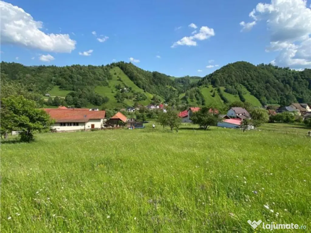 FILM! 1.450 mp intravilan, la DN, incantare peisagistica, Br 