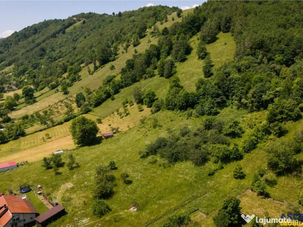 FILM! 1.450 mp intravilan, la DN, incantare peisagistica, Br 