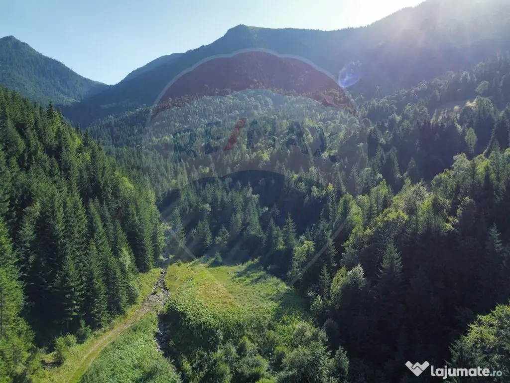 Teren 2,895mp Strada Priseci acces auto in zona telecabin... 