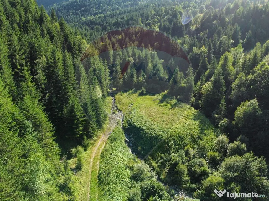 Teren 2,895mp Strada Priseci acces auto in zona telecabin... 