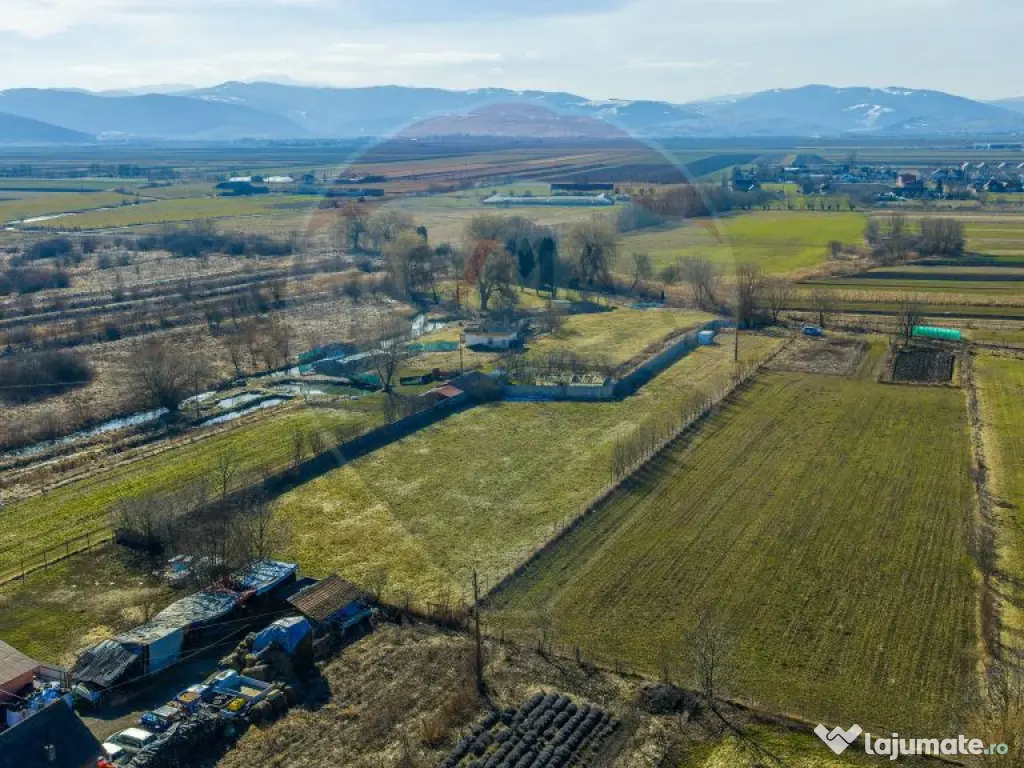 Teren Intravilan 5.000 mp Prejmer - Strada Preot Ioan Pop... 