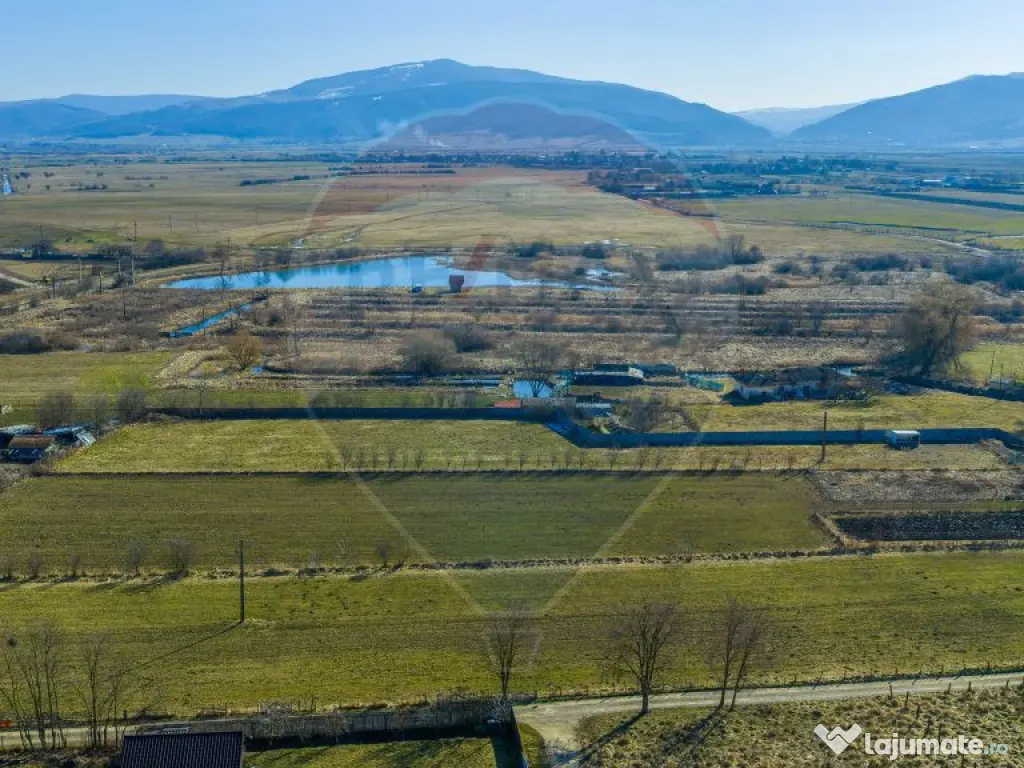 Teren Intravilan 5.000 mp Prejmer - Strada Preot Ioan Pop... 