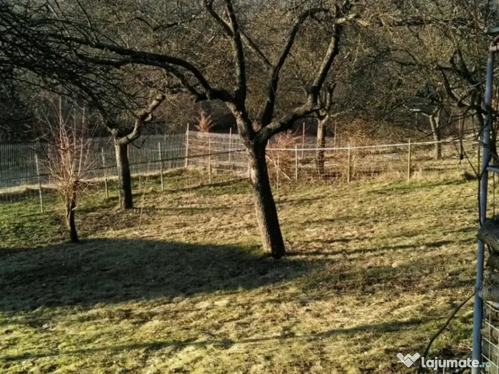 Grădina cu casa de vacanta de vânzare 