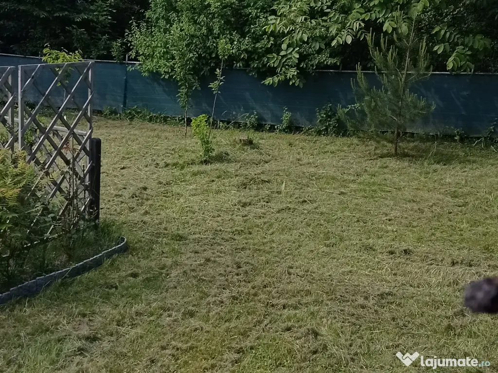 Grădina cu casa de vacanta de vânzare 