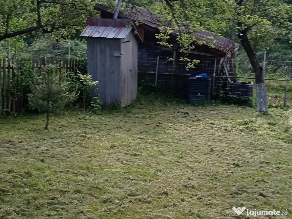 Grădina cu casa de vacanta de vânzare 
