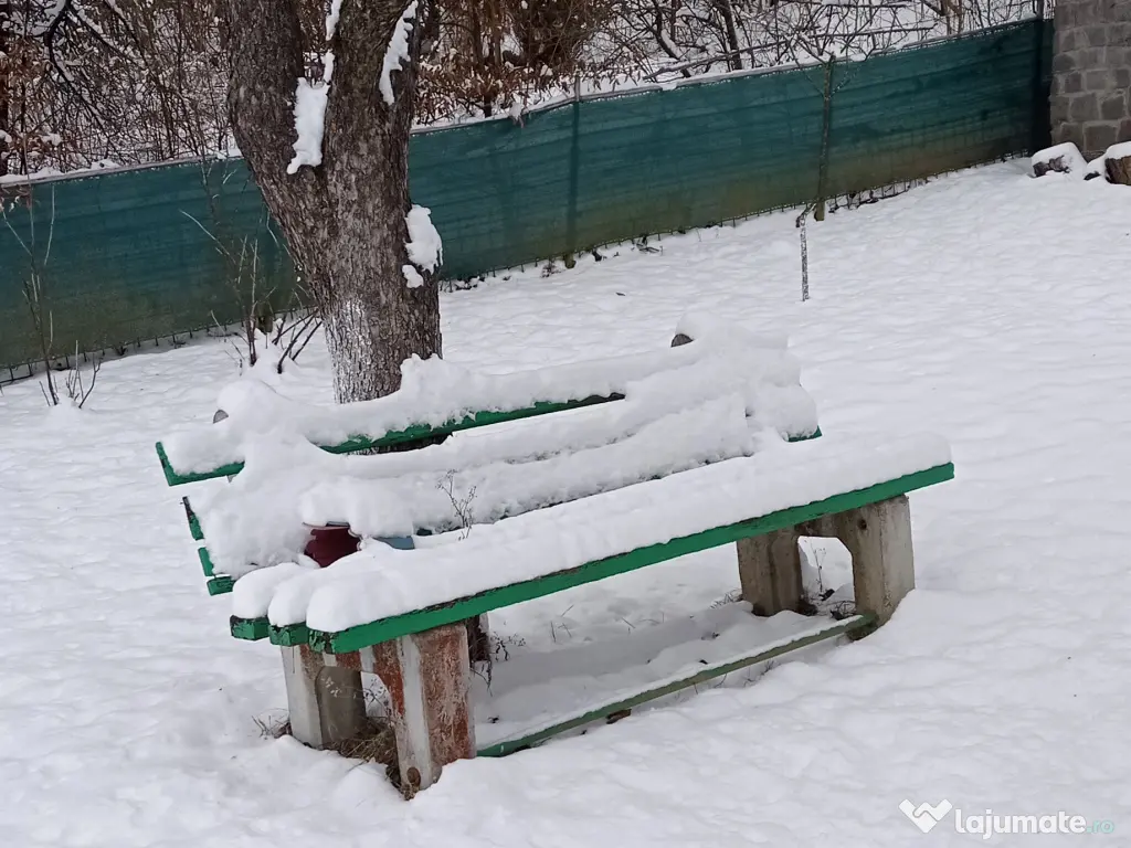 Grădina cu casa de vacanta de vânzare 