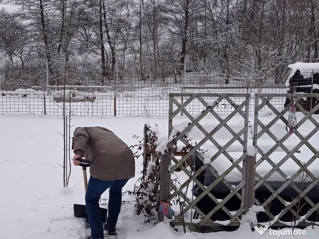 Grădina cu casa de vacanta de vânzare 
