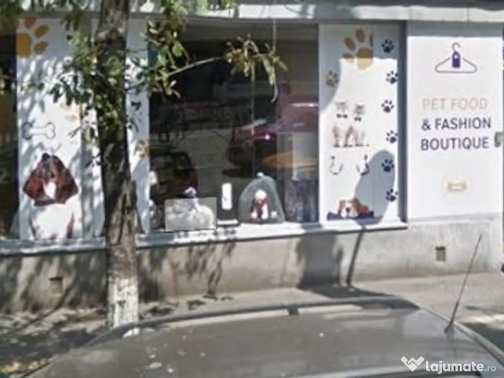 Spatiu stradal 140 mp Stefan cel Mare 