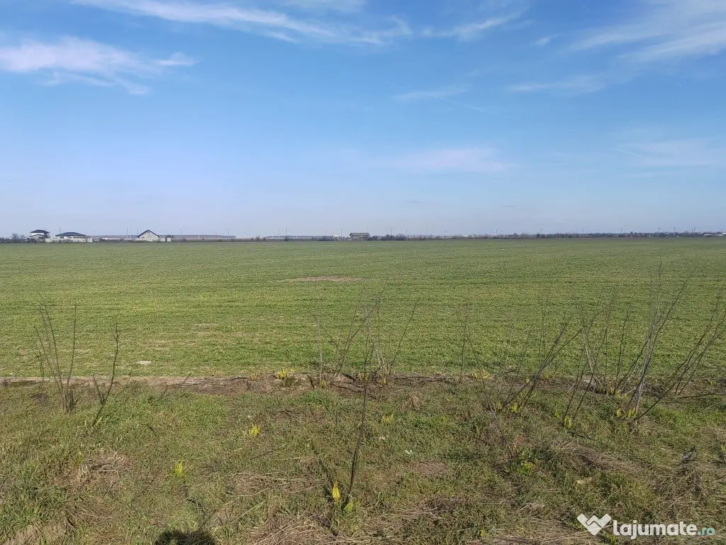 Cernica Tanganu super pret rezidential sau depozitare 