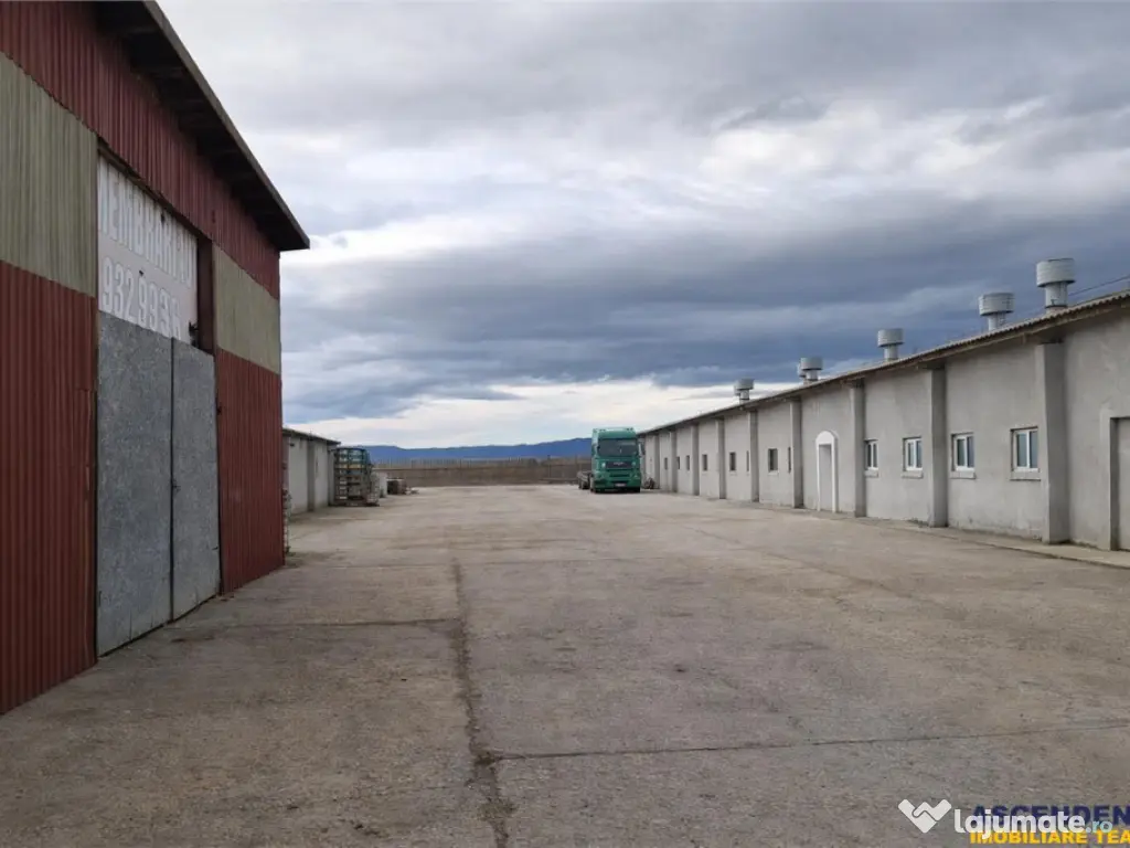Hala industriala versatila,spatii cazare, platforma betonata 