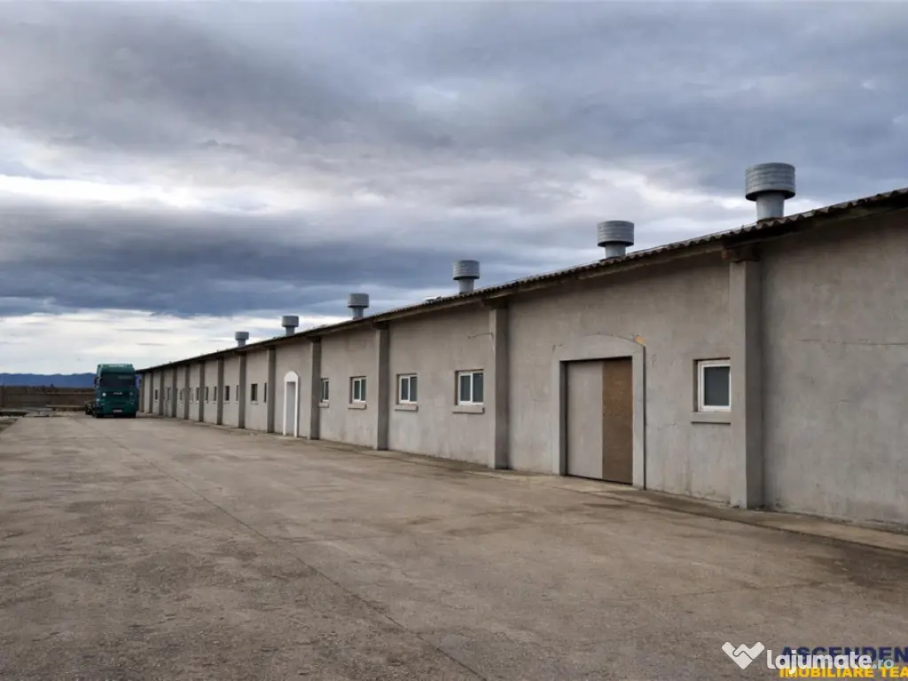 Hala industriala versatila,spatii cazare, platforma betonata 