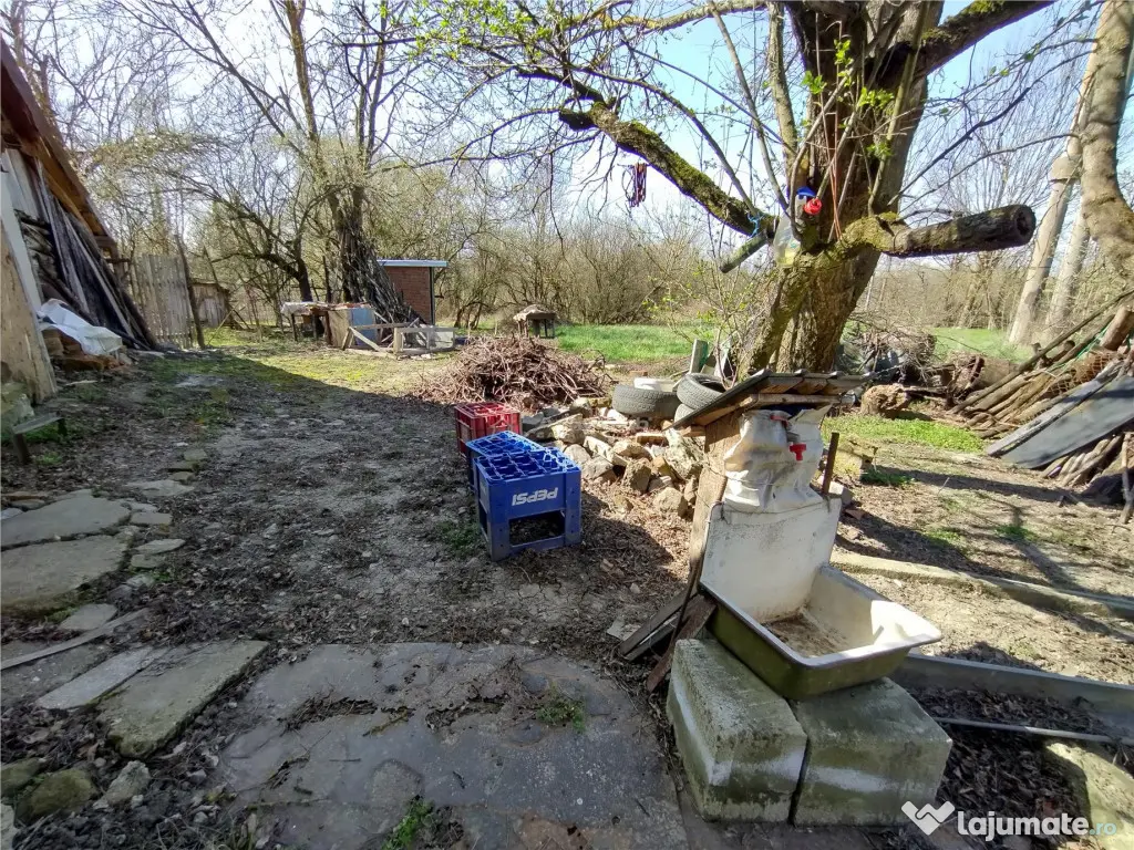 Rachitova, Casa 8 Incaperi, 3800mp Teren, Pret Negociabil 