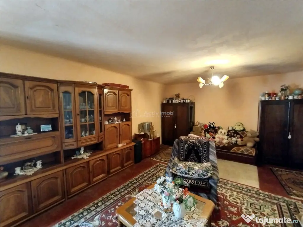 Rachitova, Casa 8 Incaperi, 3800mp Teren, Pret Negociabil 