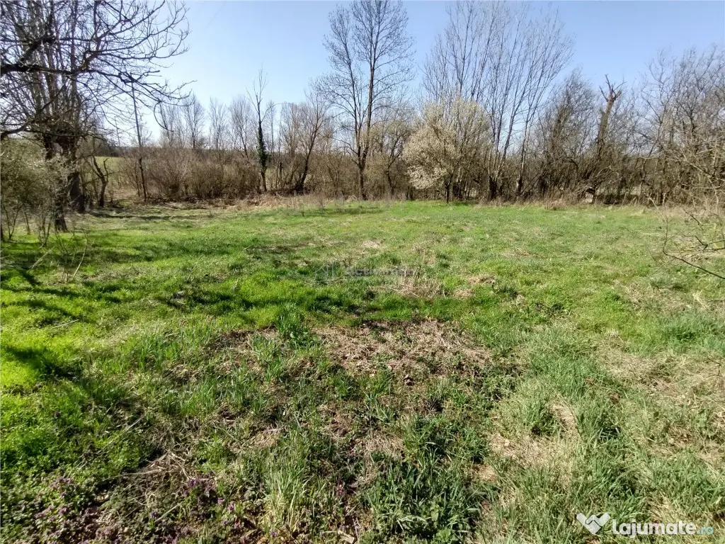 Rachitova, Casa 8 Incaperi, 3800mp Teren, Pret Negociabil 