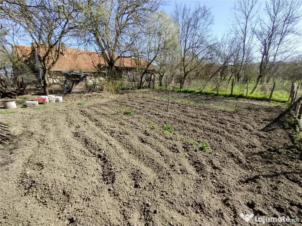 Rachitova, Casa 8 Incaperi, 3800mp Teren, Pret Negociabil 