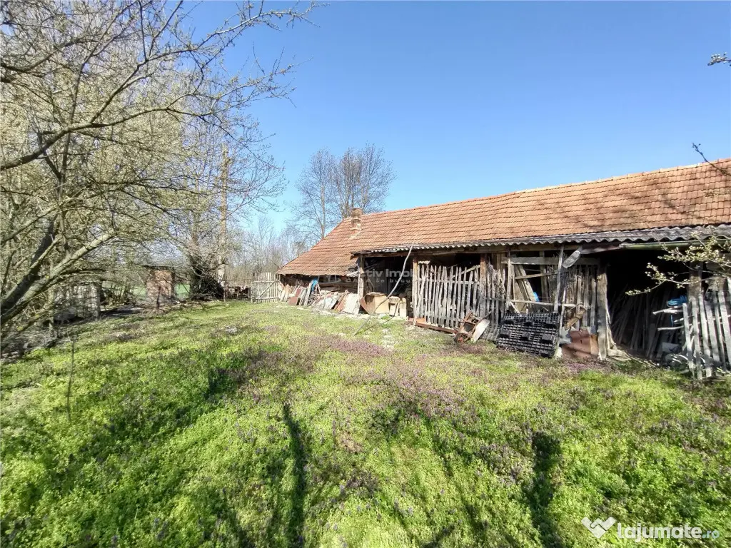 Rachitova, Casa 8 Incaperi, 3800mp Teren, Pret Negociabil 