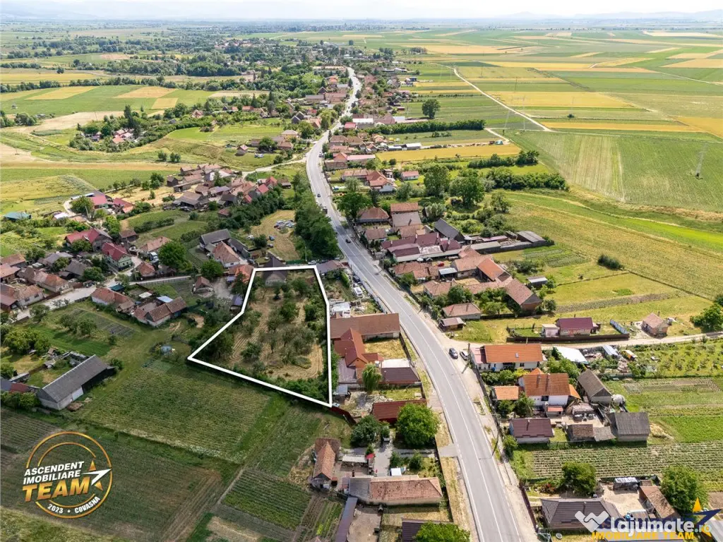 FILM! 2.700mp teren cu casa personalizabila, pomi fructiferi 