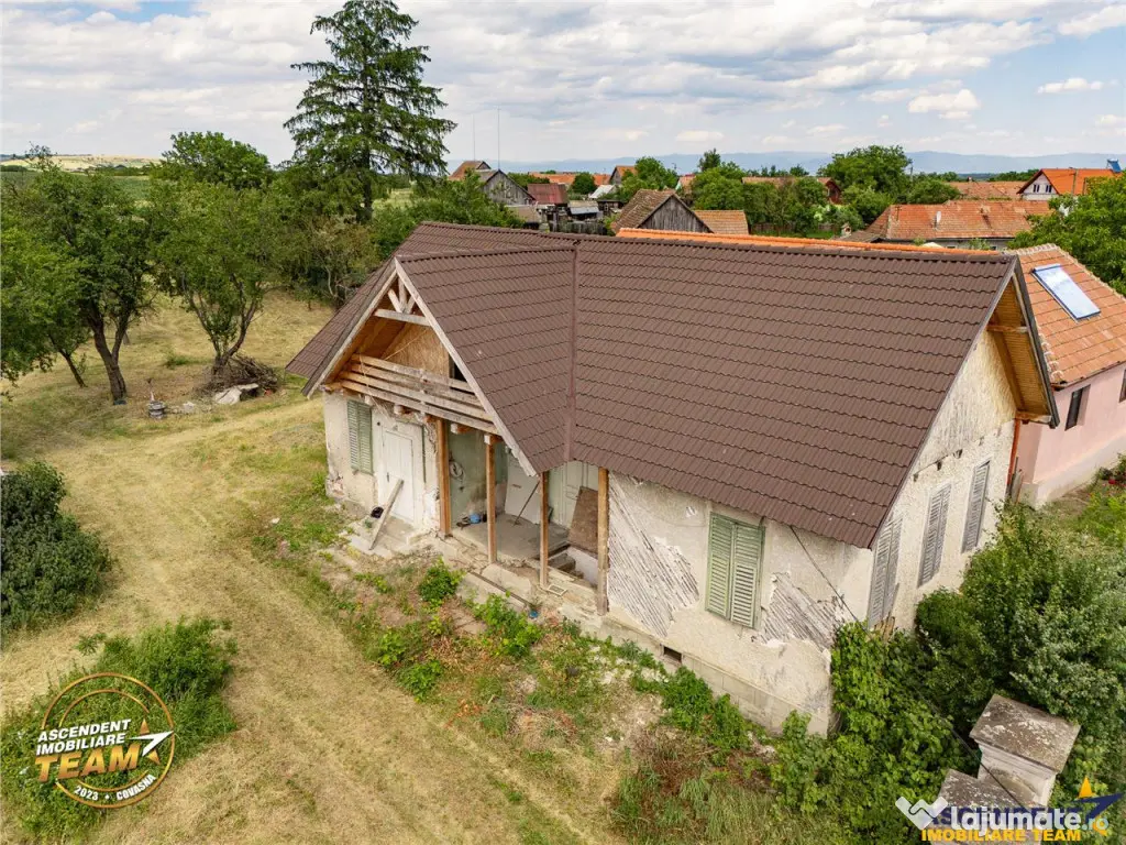 FILM! 2.700mp teren cu casa personalizabila, pomi fructiferi 