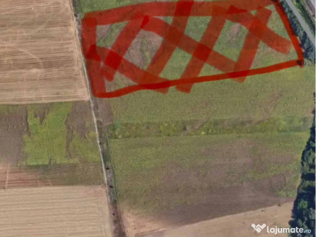 Teren 9907 mp Slatioara