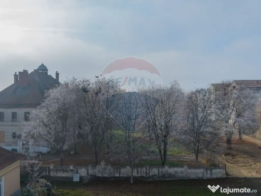 DE VANZARE !!! " CASINO " imobil cu istorie, Fabrica de Z... 