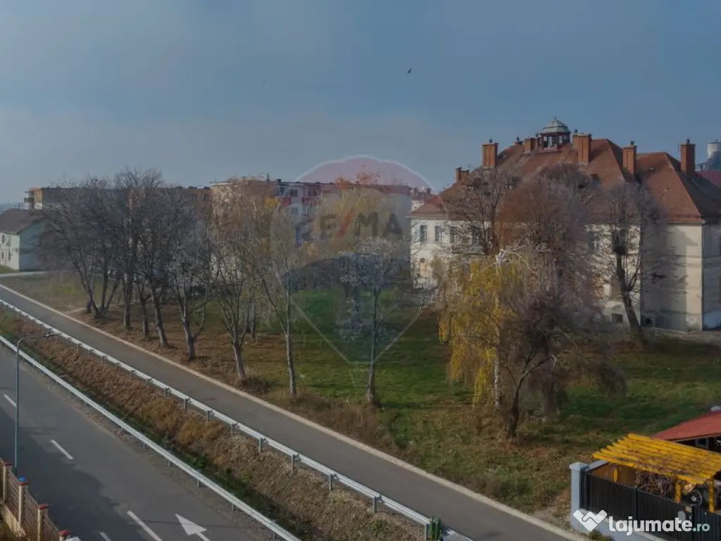 DE VANZARE !!! " CASINO " imobil cu istorie, Fabrica de Z... 