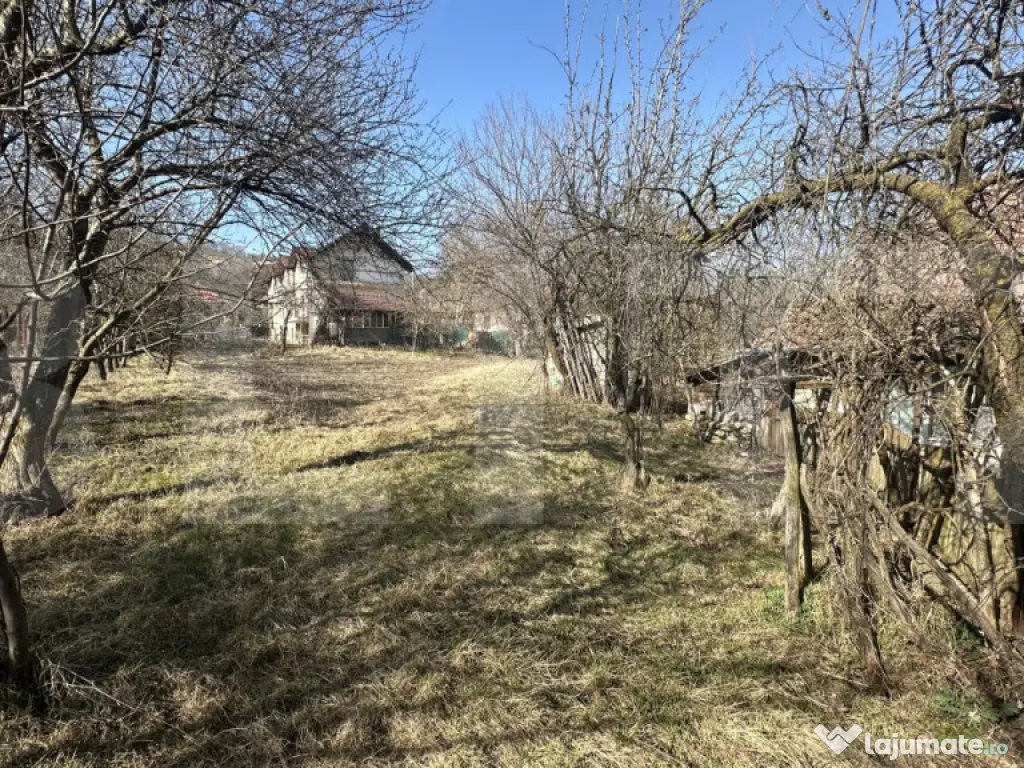 Teren cu grădină si casa bonus, oportunitate unica – Val 