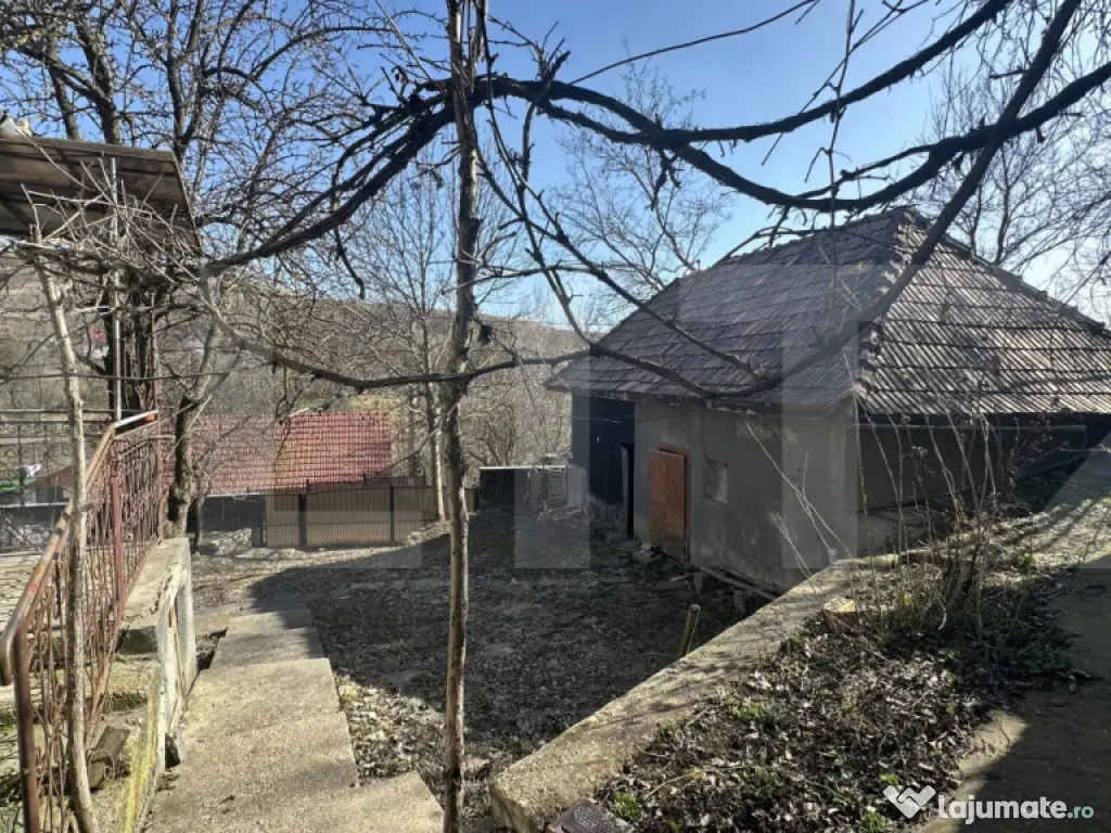 Teren cu grădină si casa bonus, oportunitate unica – Val 