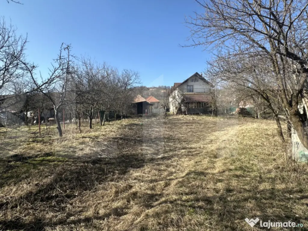 Teren cu grădină si casa bonus, oportunitate unica – Val 