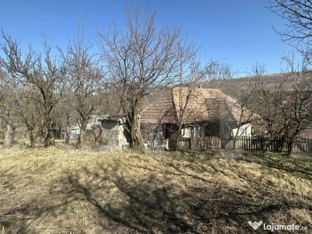 Teren cu grădină si casa bonus, oportunitate unica – Val 