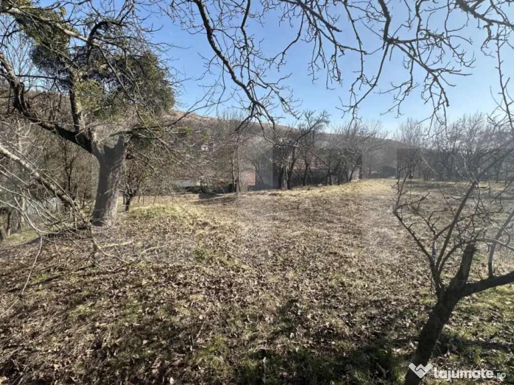 Teren cu grădină si casa bonus, oportunitate unica – Val 
