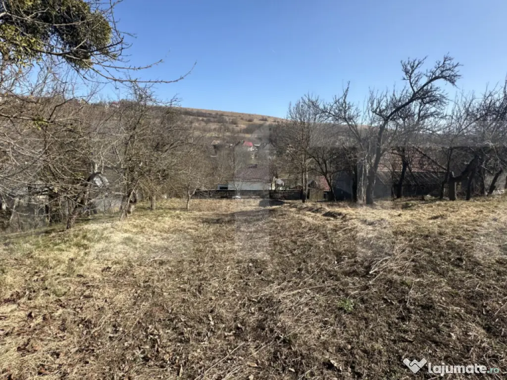 Teren cu grădină si casa bonus, oportunitate unica – Val 