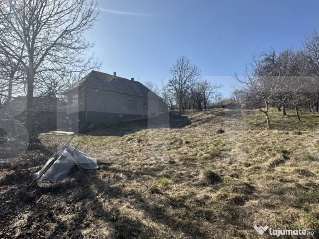 Teren cu grădină si casa bonus, oportunitate unica – Val 