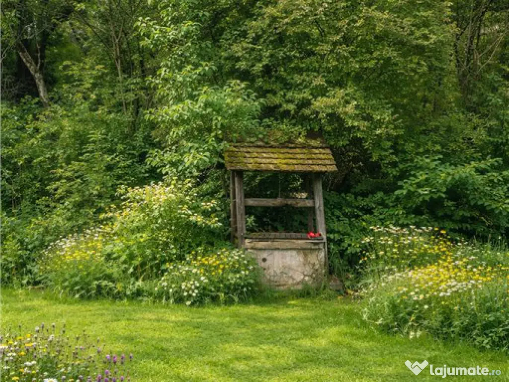 Domeniu verde autentic, 5.000mp, front la DJ, Valcele, Bra 