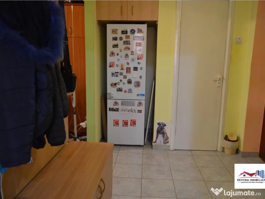 Apartament 3 Camere de Zona Tudor 