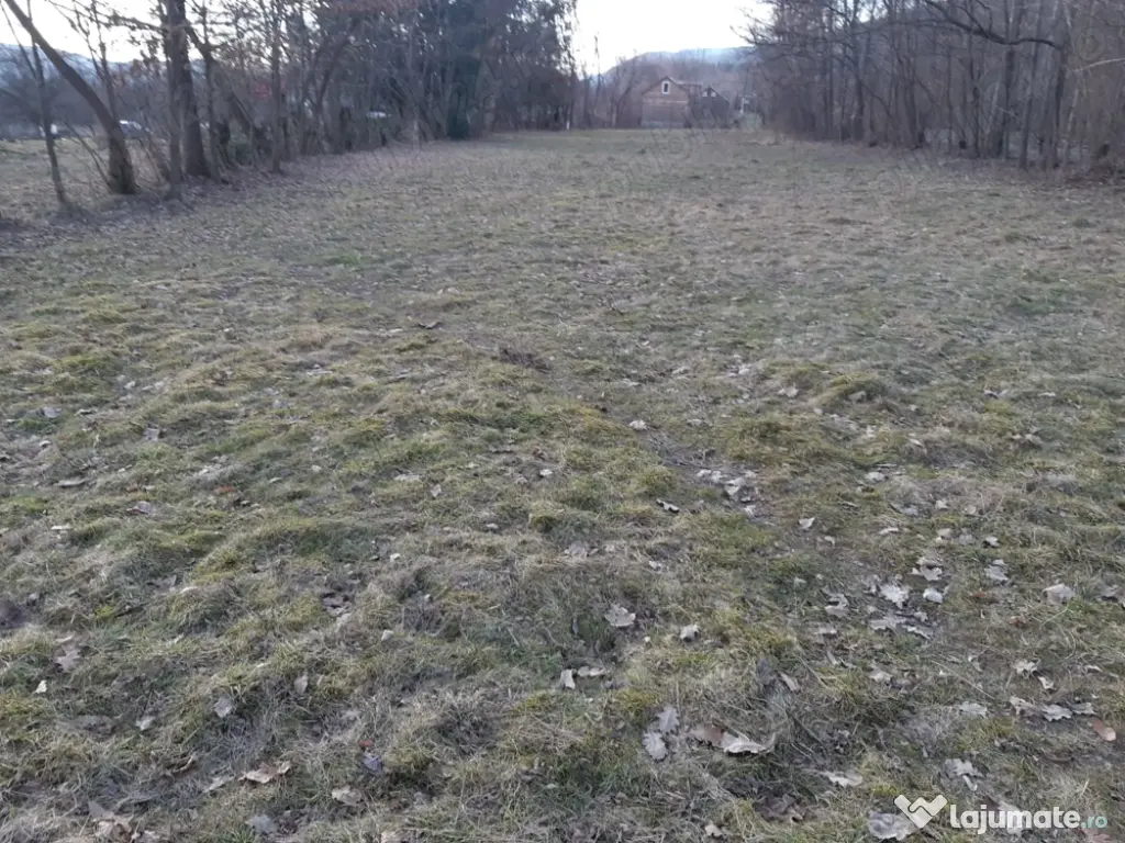 Teren de vânzare (intravilan) 22 ari 