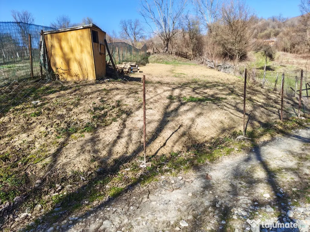 teren baile Olănești 